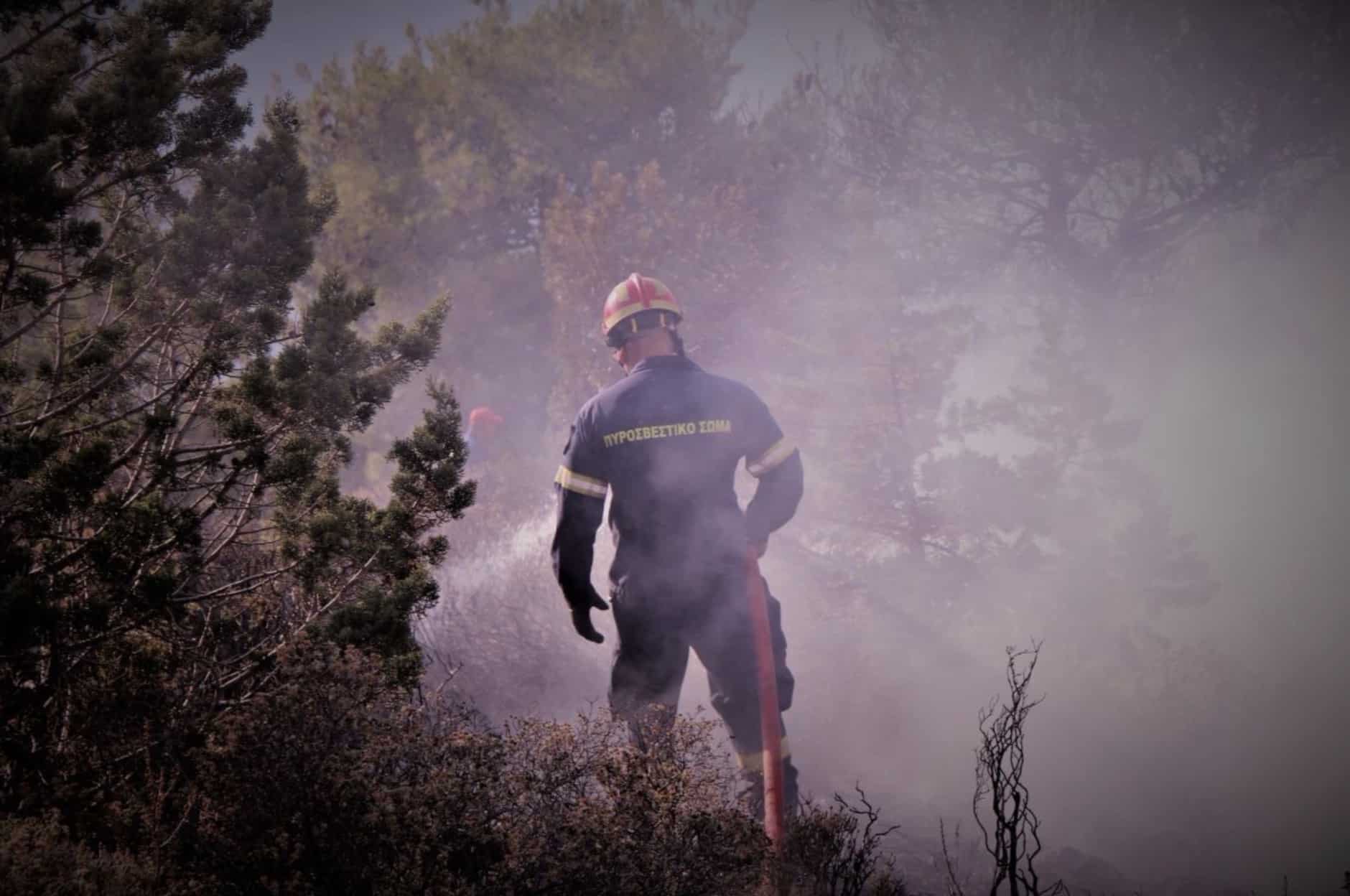 Greece to Deploy Over 100 Drone Monitoring Bases for 2026 Wildfire Season in Largest-Ever Rollout