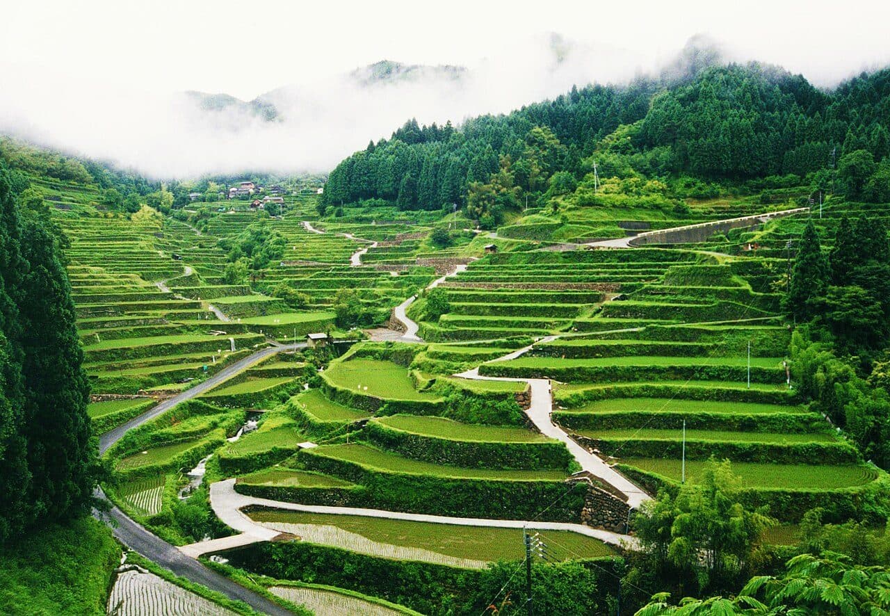 Japan Agricultural Drone Market Projected to Reach $357.8 Million by 2034