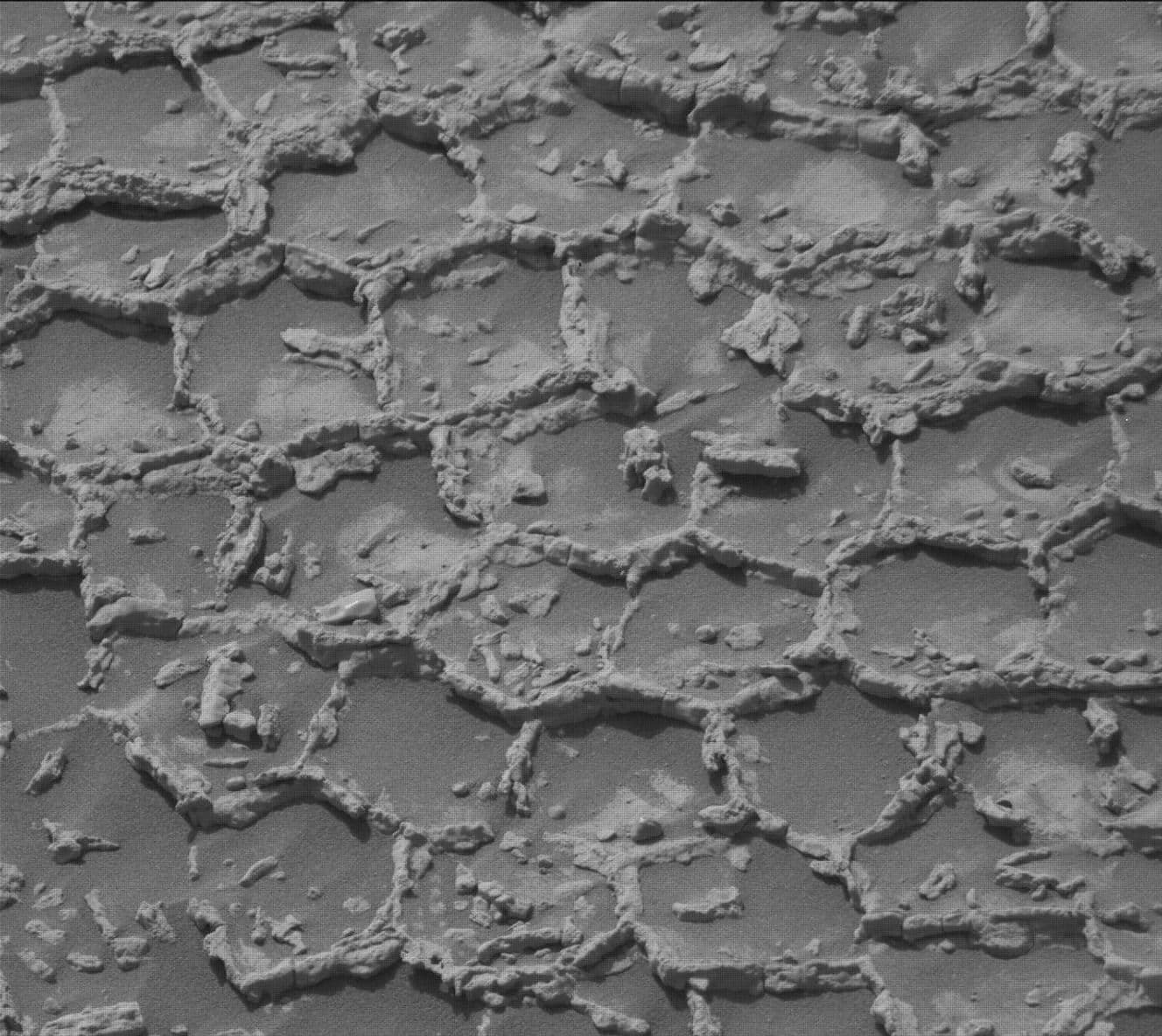 Curiosity Rover Update, Sols 4934–4940: Roving Across Polygonal Terrain 1