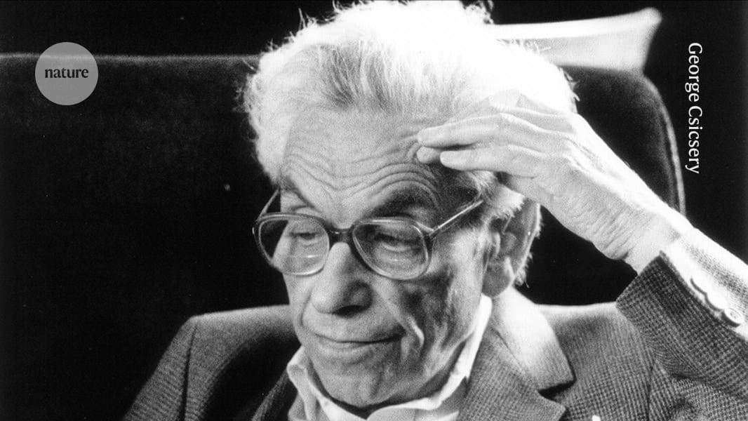 AI 破解 80 年數學難題——研究人員大感震驚 1