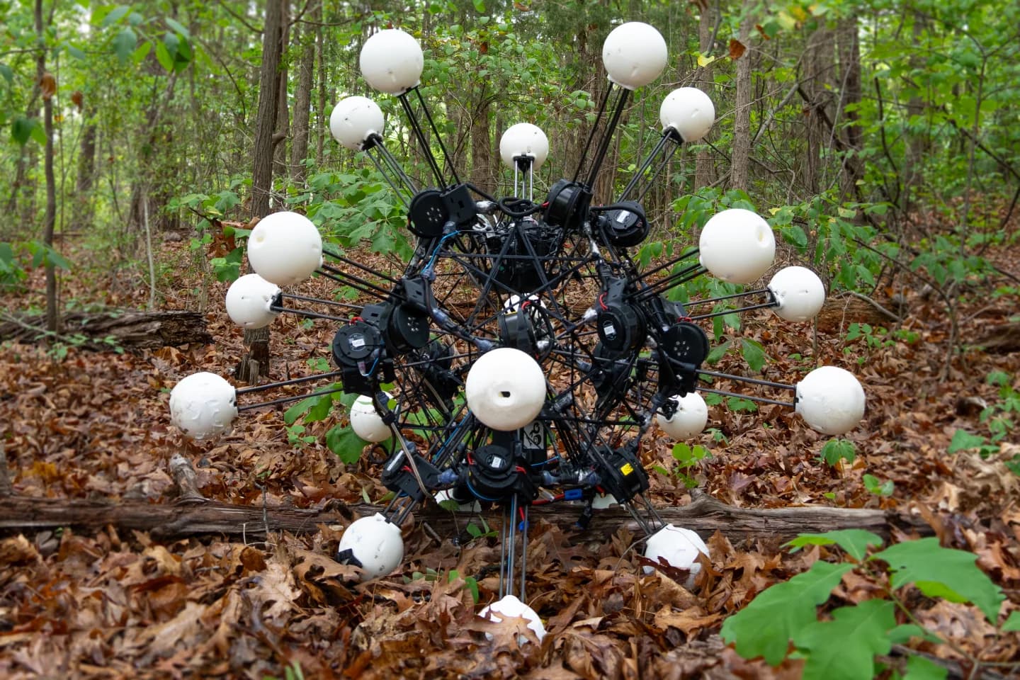 Duke University Builds Sea Urchin-Inspired Robot 'Argus': 20 Eyes, 20 Legs, Free Movement in Any Direction 1