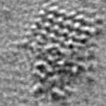 英國科學家重組原子結構 打造綠色氫氣生產破紀錄催化劑 1