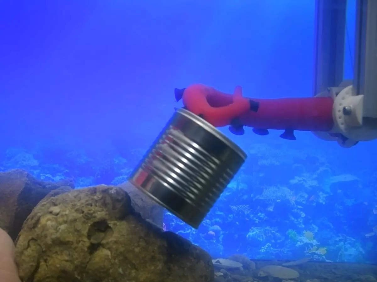 Octopus-Inspired Robotic Arm with 'Thinking Suckers' Developed by Italian Researchers for Deep-Sea Exploration 1