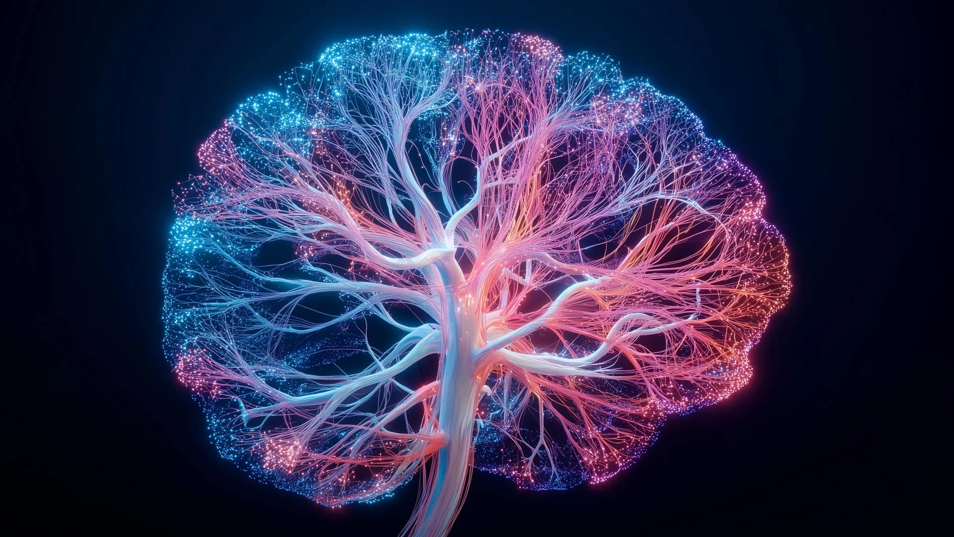 科學家發現大腦做決策的方式與過去認知完全不同 1