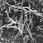 美國科學家發現新材料:砷化鈮奈米線在微型晶片中導電性超越銅 1