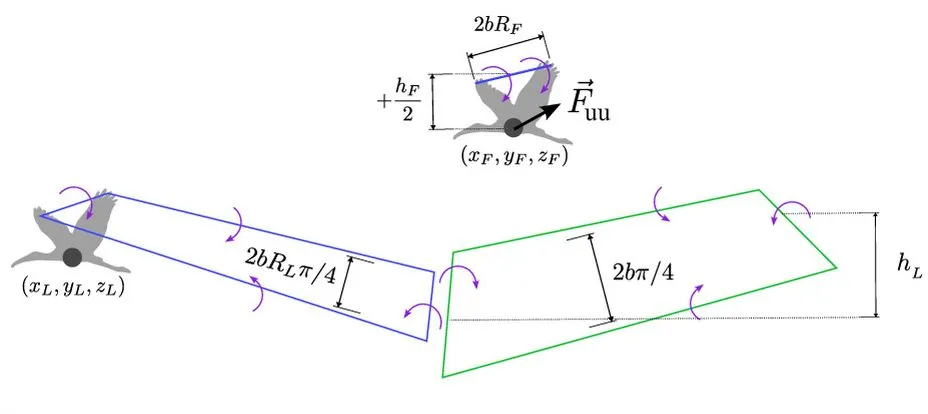 Bird-Inspired Wake Model Maps a Path to More Efficient Drone Swarms