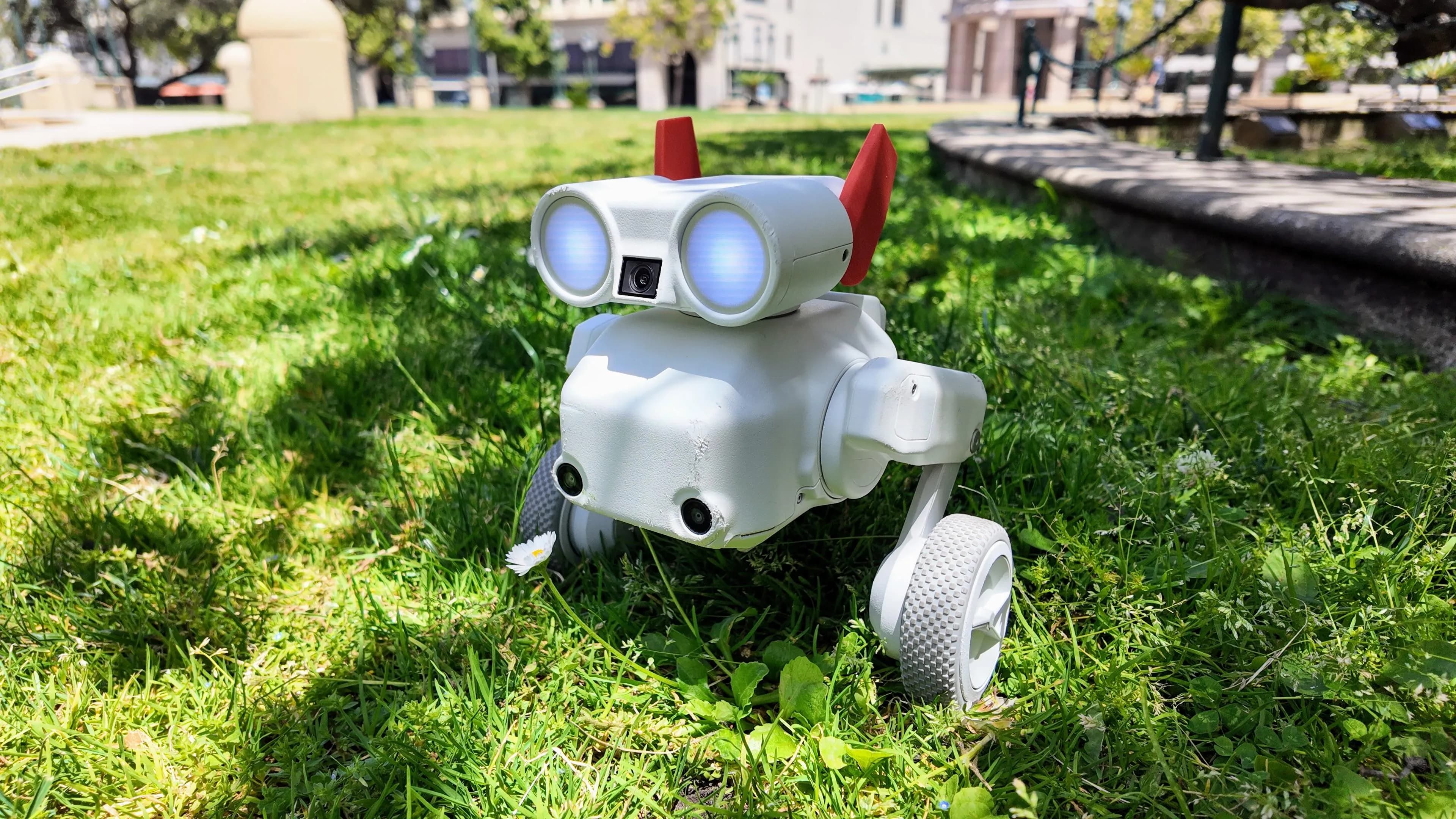 會跳躍的 $800 機器狗相機讓我愛不釋手——Mondo Robotics Beni 實測體驗 1