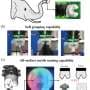 EleTac: Elephant-Inspired Soft Robotic Gripper with Fine-Grained Tactile Sensing