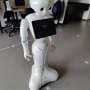 Can Pepper Be a Good Playmate? NTNU Conducts Human-Robot Interaction Experiment 1