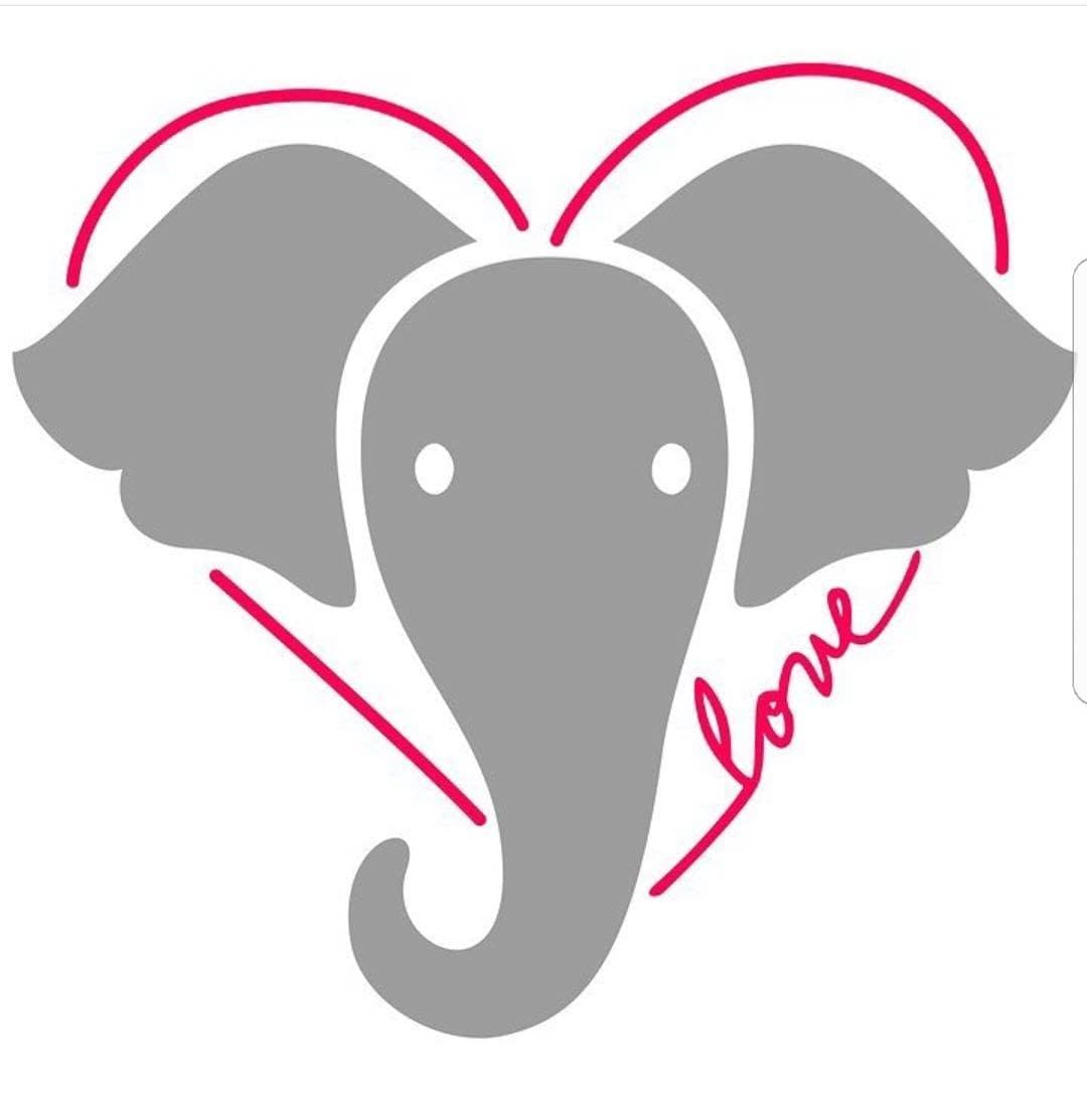 善待大象!無人機在野生動物保育中的角色引發關注 1