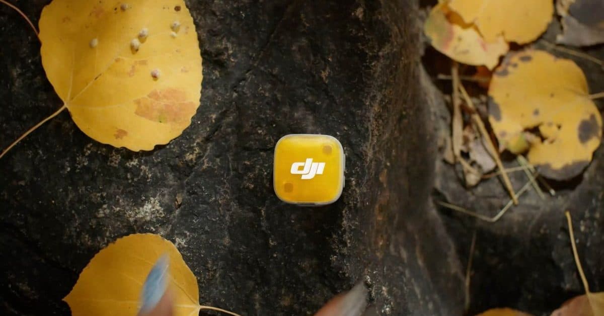 DJI 最新酷炫麥克風全球開賣,唯獨美國市場仍在苦等 1